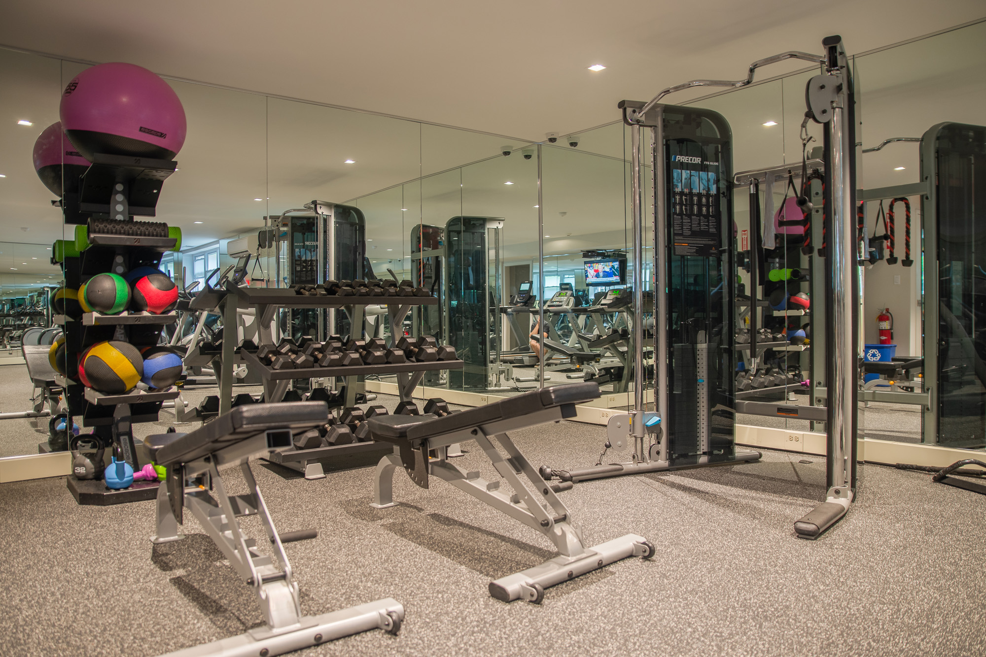 Fitness center with treadmills, ellipitcals, stationary bike, and free weights